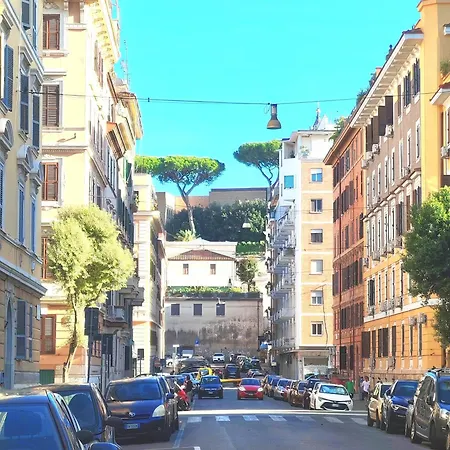 Elegant At Vatican Museum *